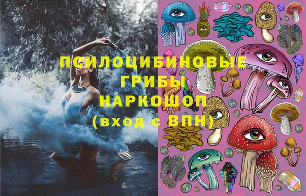 дживик Аркадак