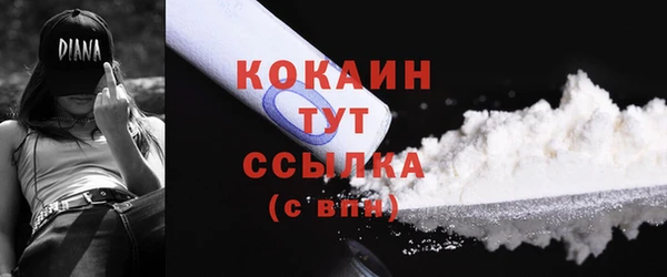 твердый Армянск