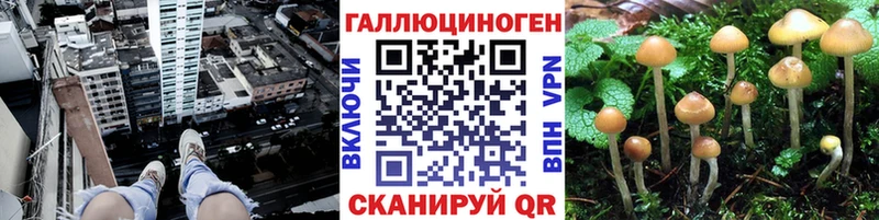 купить закладку Остров Галлюциногенные грибы Magic Shrooms